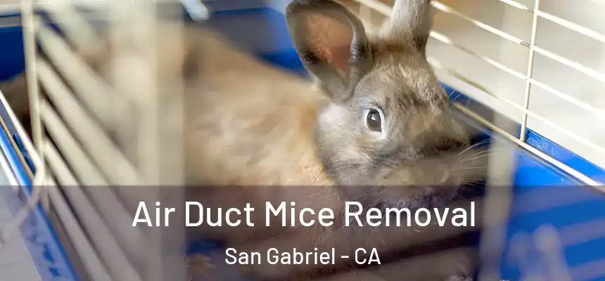 Air Duct Mice Removal San Gabriel - CA