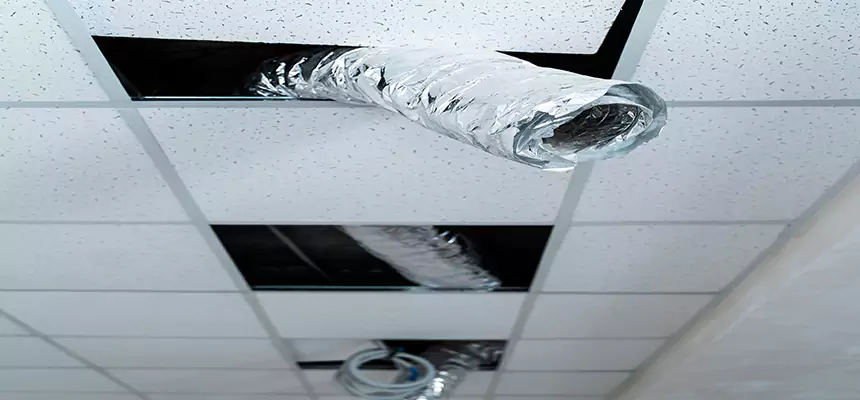 Affordable HVAC Sanitizing After Pest Removal in San Gabriel