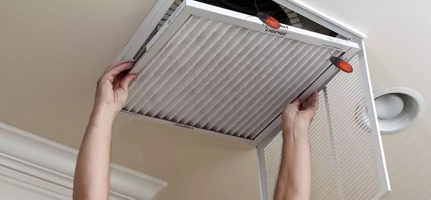 Our Insect Removal from Air Ducts Services in San Gabriel, CA