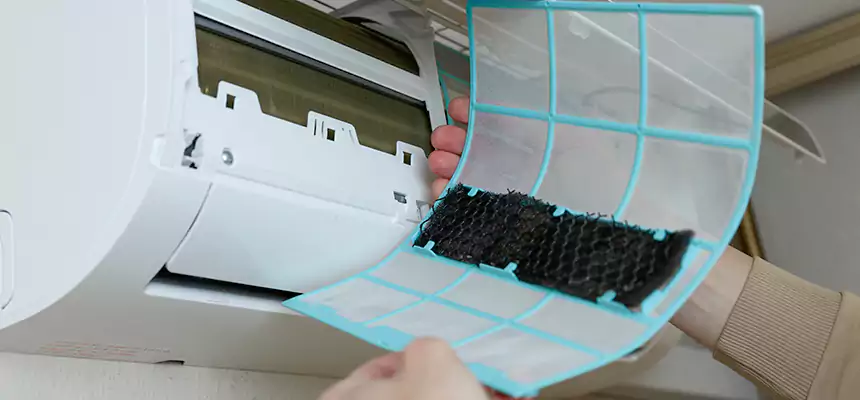 Gentle Ductwork Odor-Control Pet Dander Duct Cleaning in San Gabriel, CA