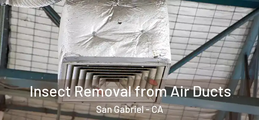 Insect Removal from Air Ducts San Gabriel - CA