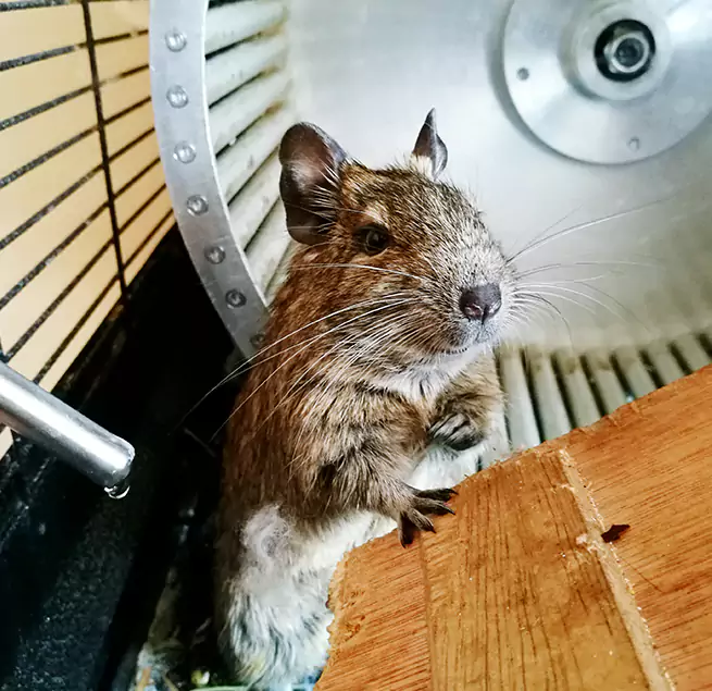 Why Homeowners & Businesses Trust Us San Gabriel, CA?