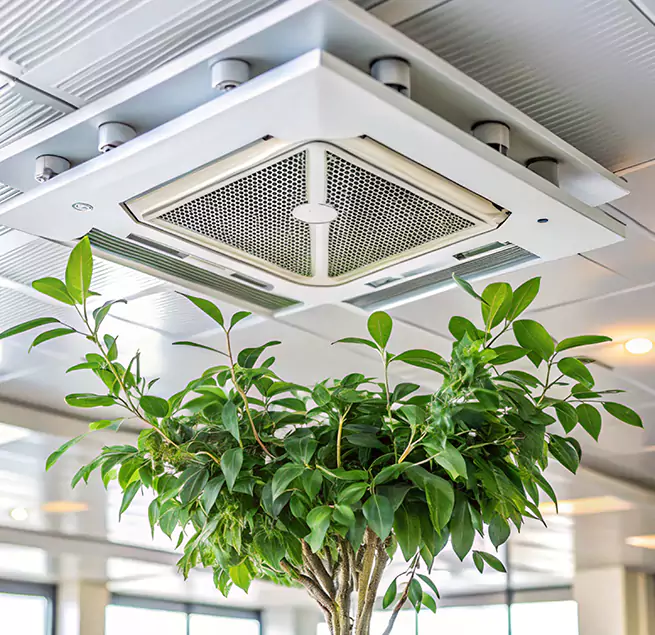 Why Homeowners & Businesses Trust Us in San Gabriel, CA?